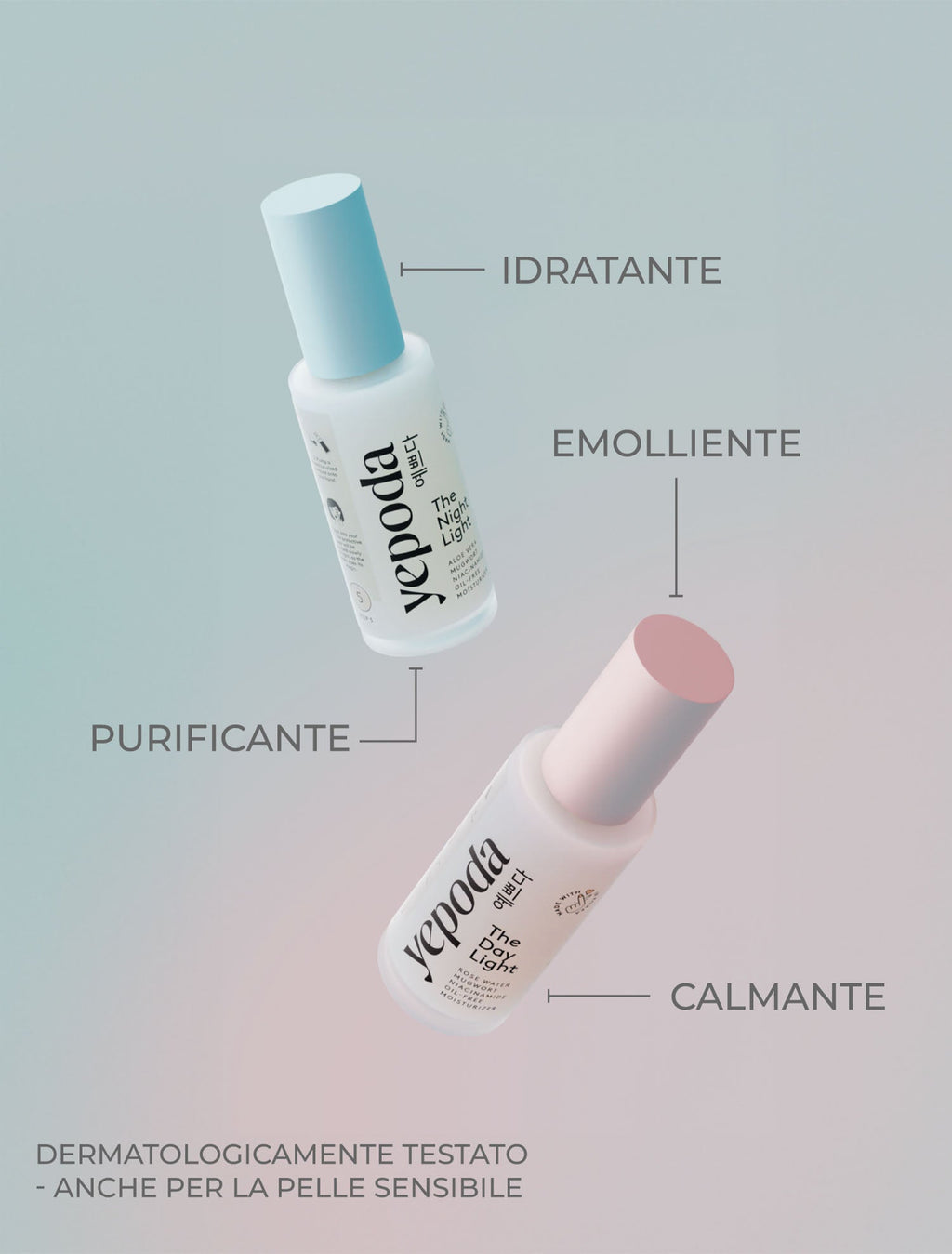 The Lights – Oil-Free